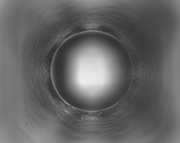X0000078000743200610271136