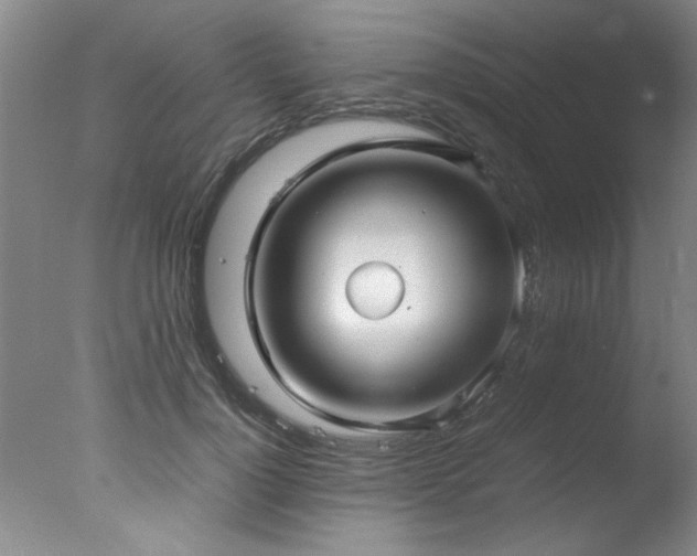 X0000078000748200610271136