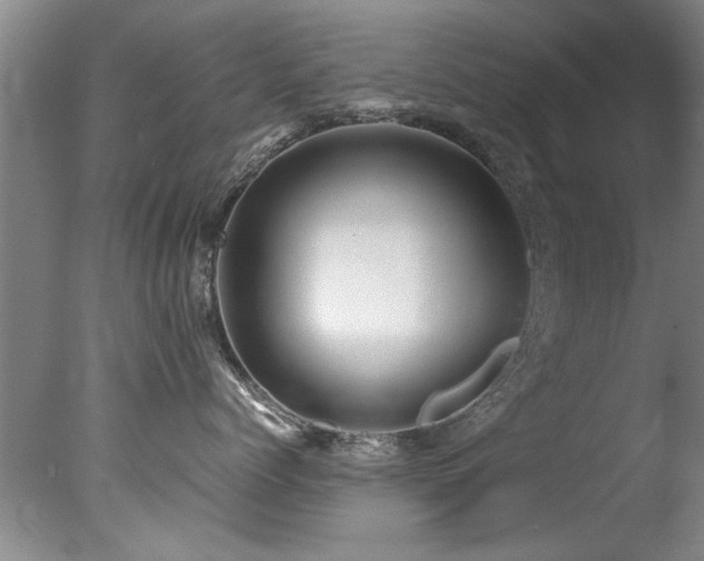 X0000078000768200610271136