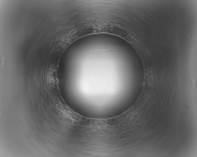 X0000078000770200610271135