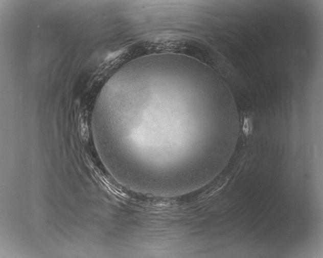 X0000078000771200610271135