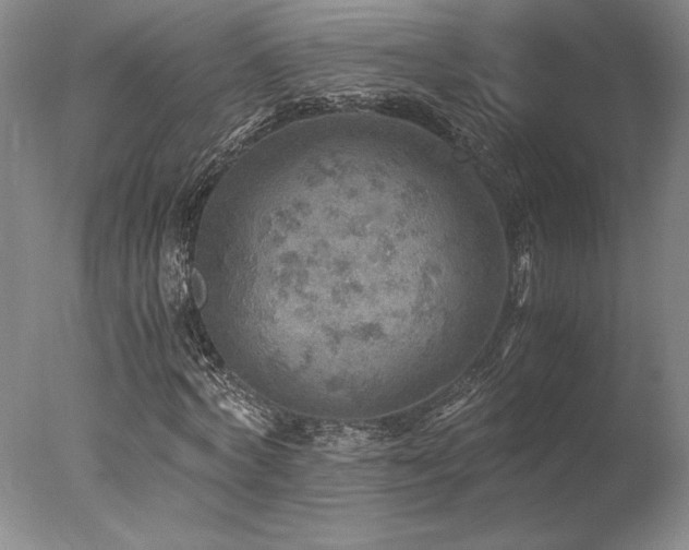 X0000078000772200610271135