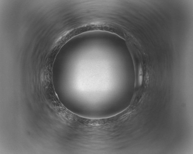 X0000078000776200610271135