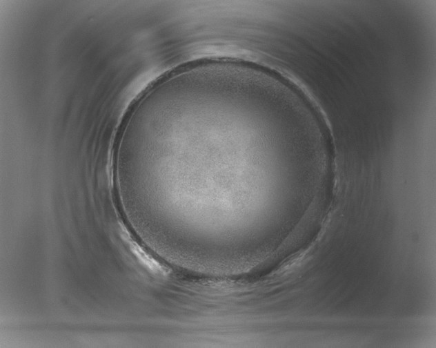 X0000078000791200610271135