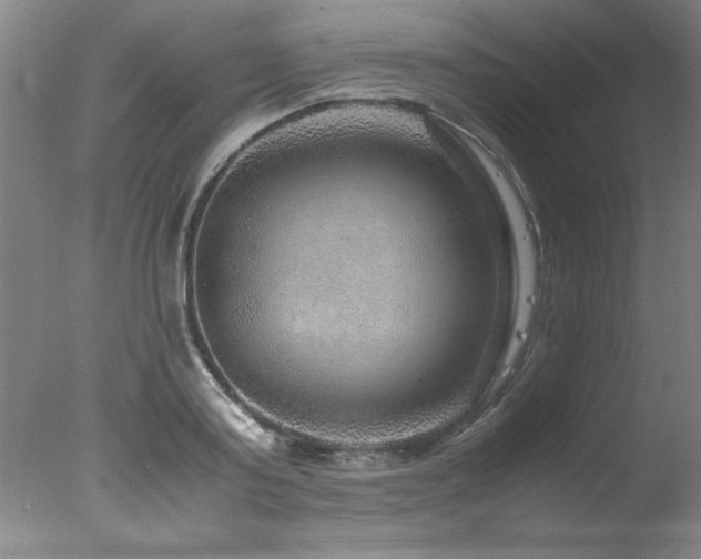 X0000078000795200610271135