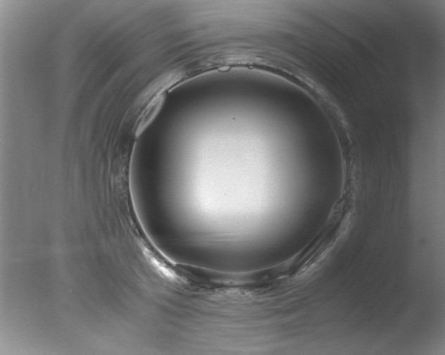 X0000078000801200610271135