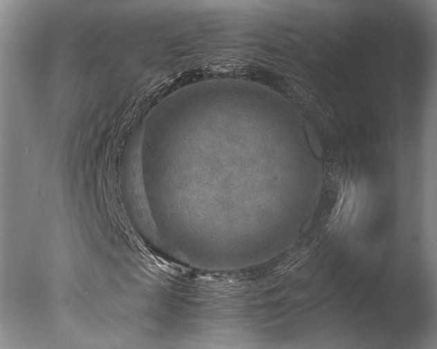 X0000078000817200610271134