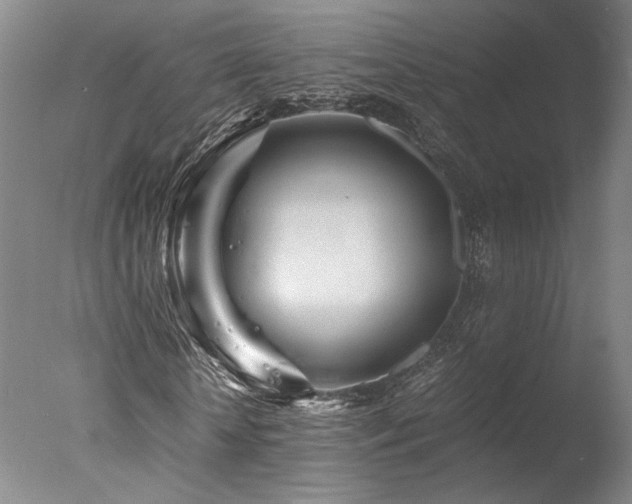 X0000078000818200610271134