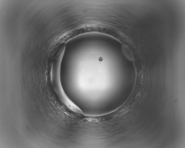 X0000078000822200610271134