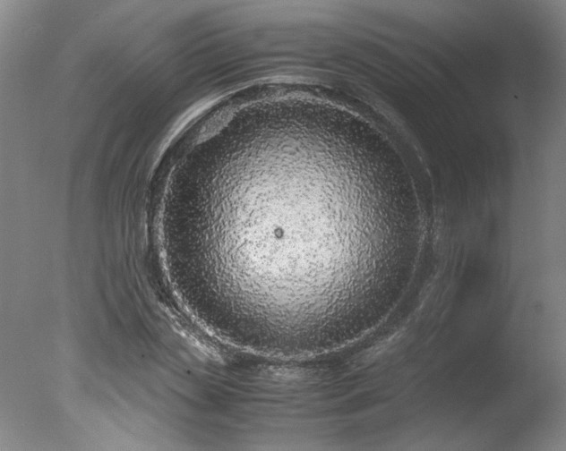 X0000078000829200610271134