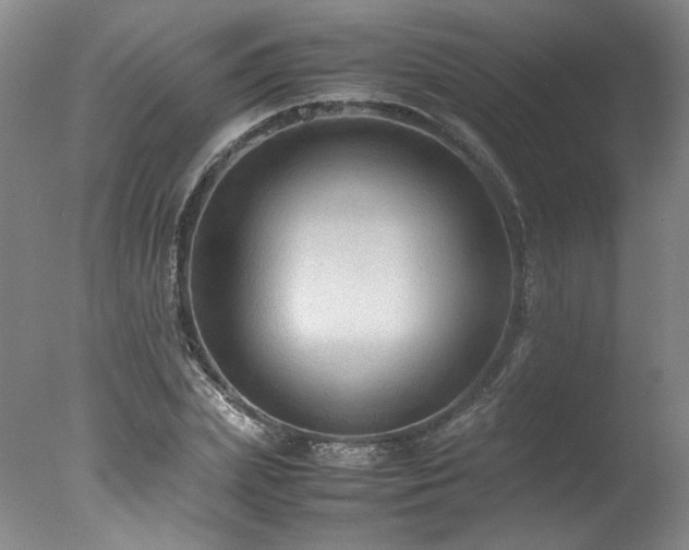 X0000078000831200610271134