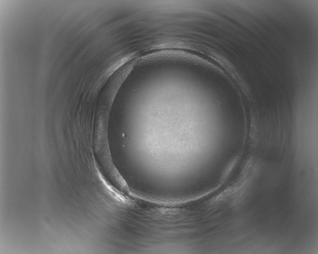 X0000078000849200610271134