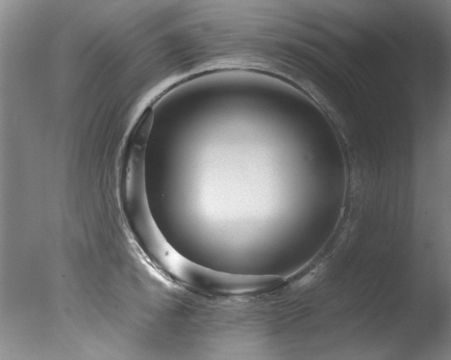 X0000078000854200610271134