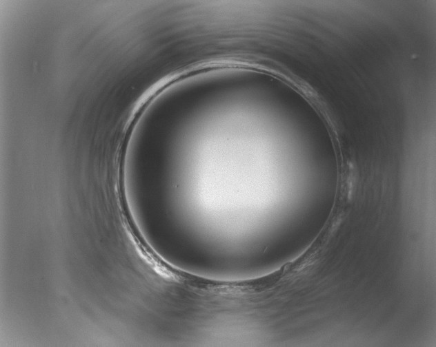X0000078000862200610271135