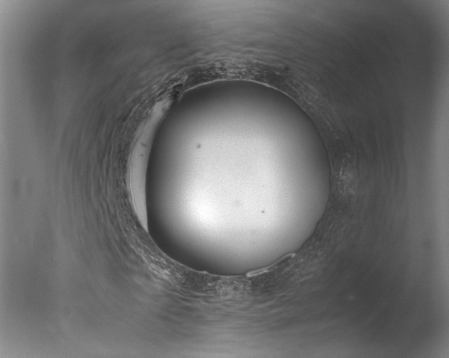 X0000078000865200610271134