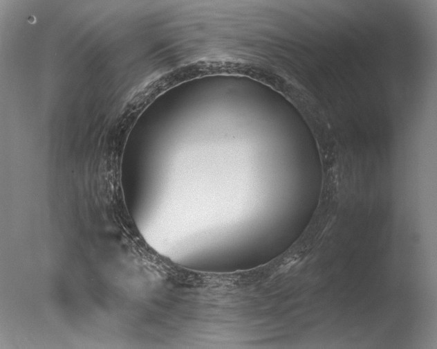 X0000078000870200610271134