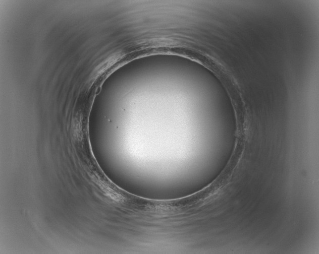 X0000078000873200610271134