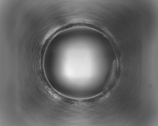 X0000078000877200610271134