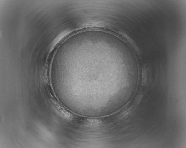 X0000078000878200610271134