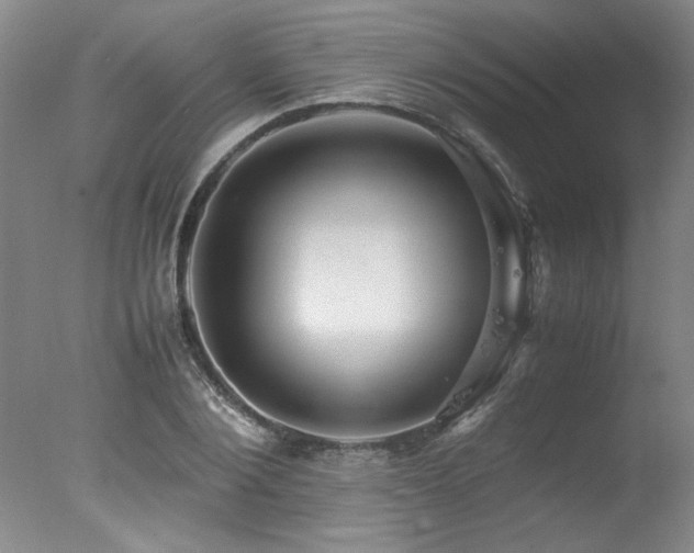 X0000078000884200610271133