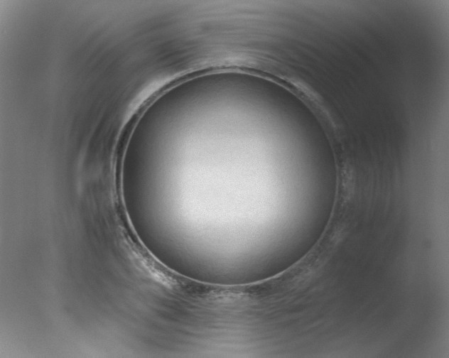 X0000078000886200610271133