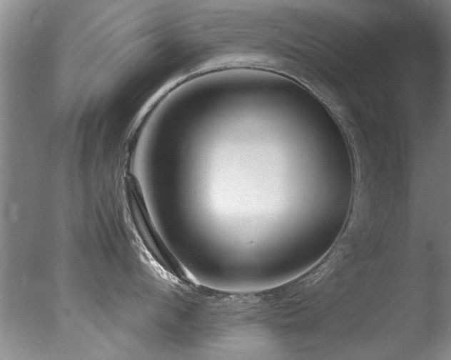 X0000078000912200610271133