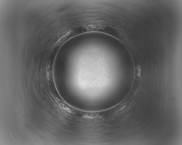 X0000078000915200610271132