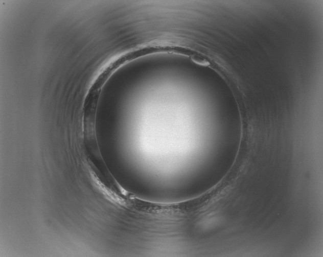 X0000078000934200610271133