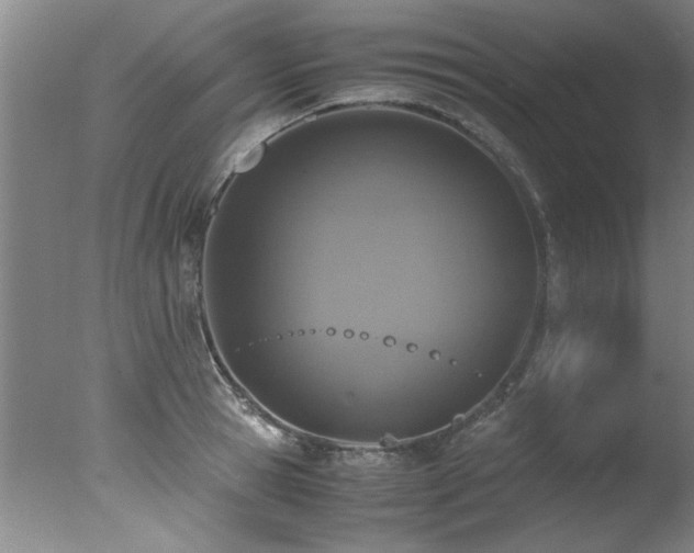 X0000078000945200610271133