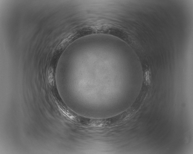 X0000078000963200610271132