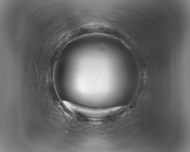 X0000078000965200610271132