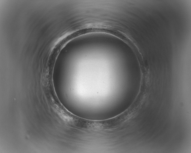 X0000078000971200610271132
