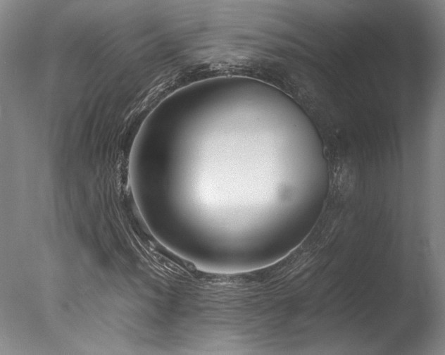 X0000078001012200610271131
