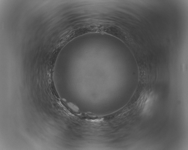 X0000078001013200610271131
