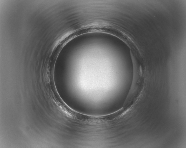 X0000078001018200610271131
