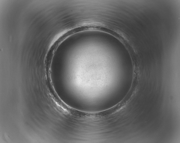X0000078001022200610271131