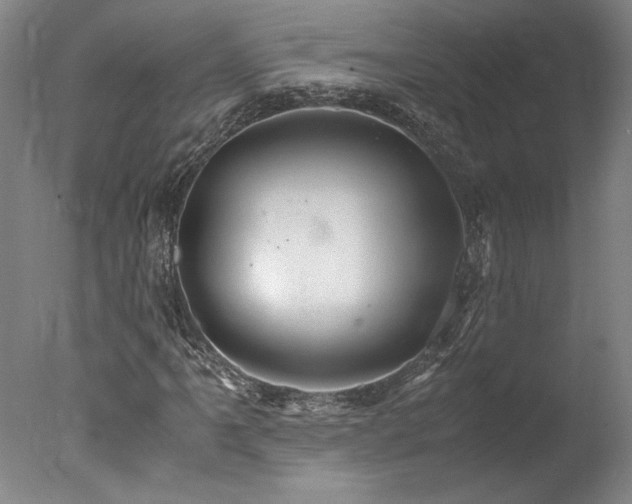 X0000078001061200610271130