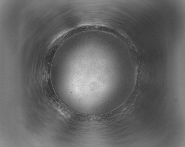 X0000078001064200610271130