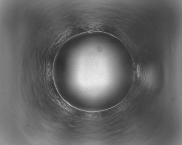 X0000078001107200610271129