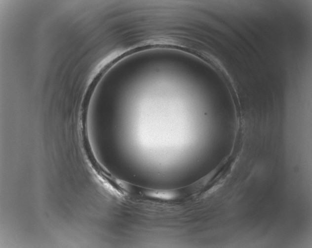 X0000078001133200610271129
