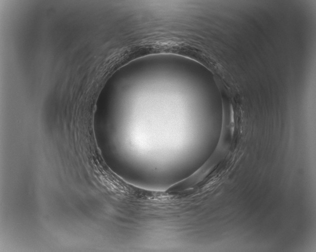 X0000078001153200610271129