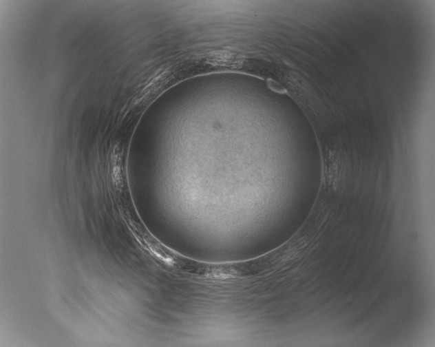 X0000078001154200610271129