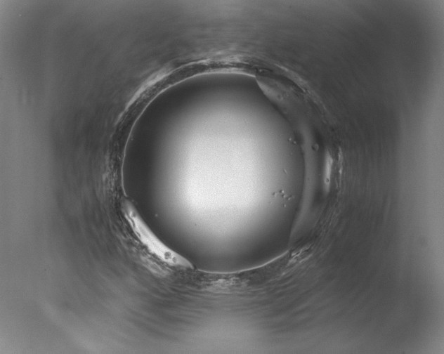 X0000078001160200610271129