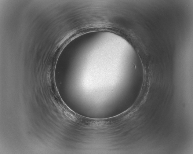 X0000078001162200610271129