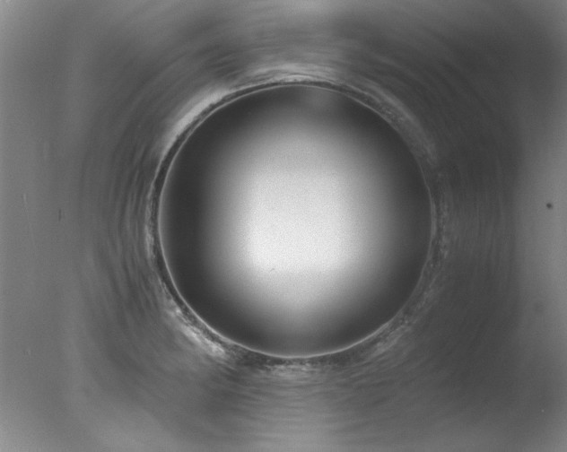 X0000078001182200610271128