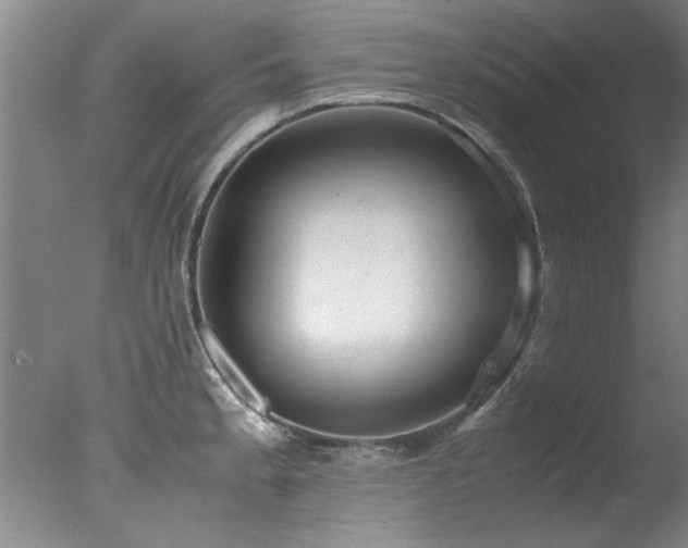 X0000078001189200610271128