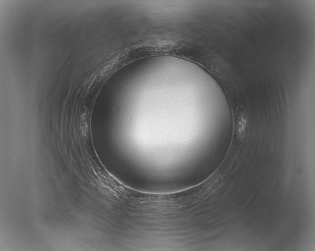 X0000078001204200610271127