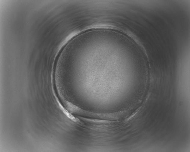 X0000078001237200610271128