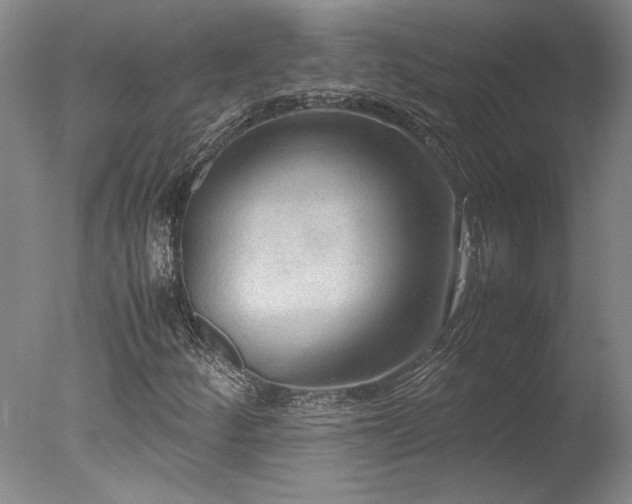 X0000078001252200610271127