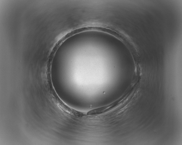 X0000078001264200610271127